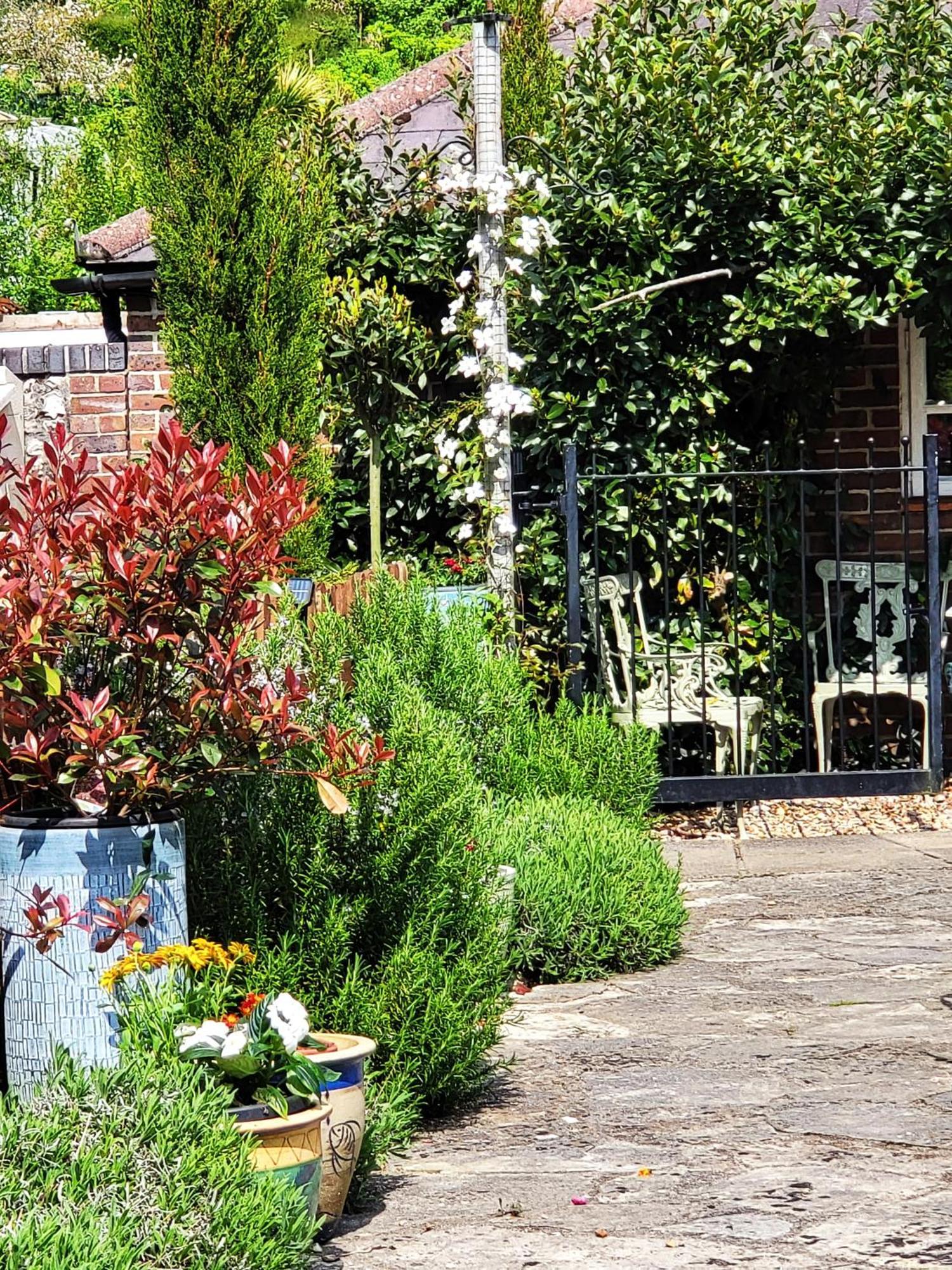 Escape The Ordinary - Piddle Inn The Home Private Self Cater Holiday Dorchester Exterior foto